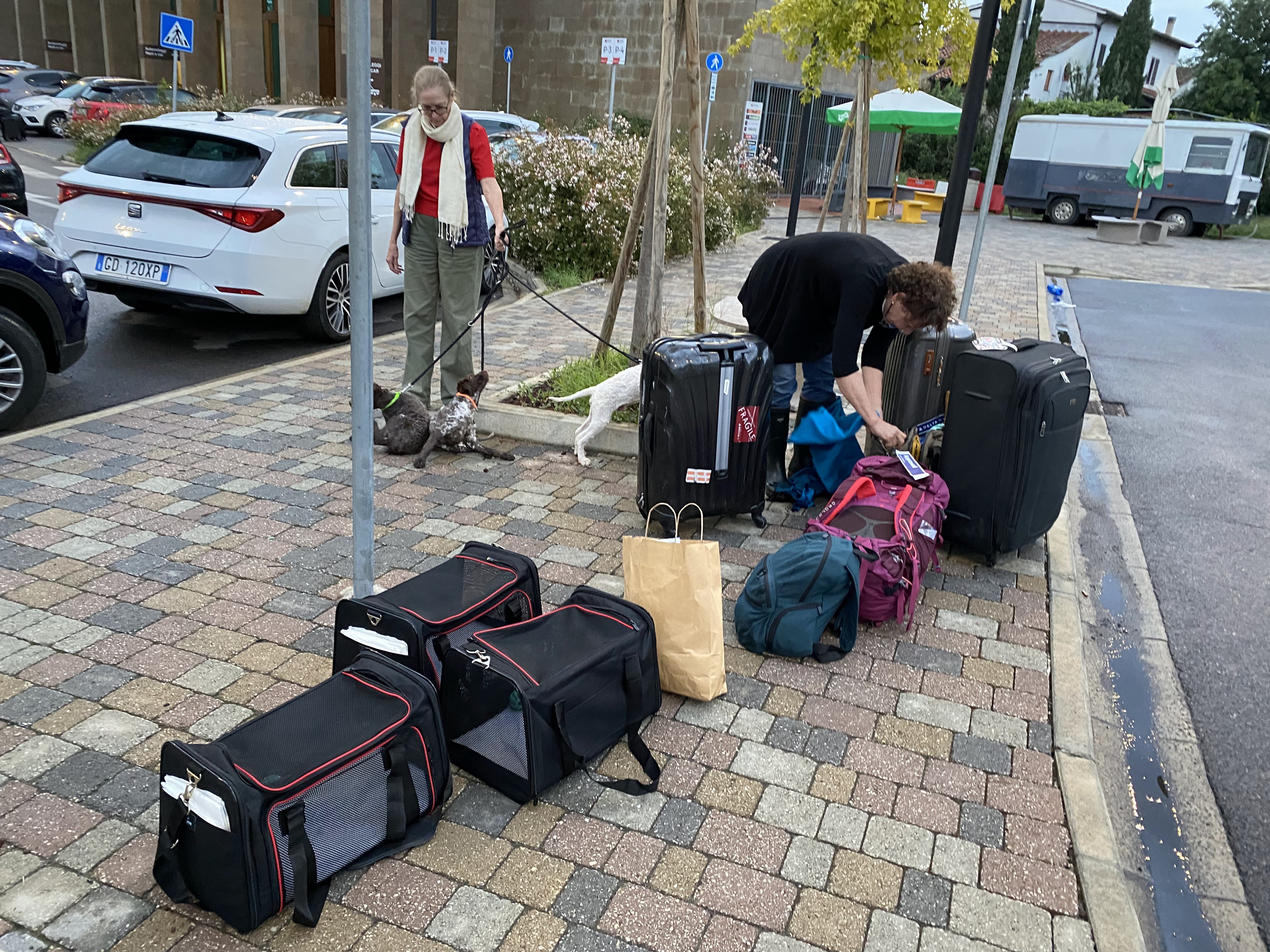 Packed up and ready to fly three puppies home from Italy